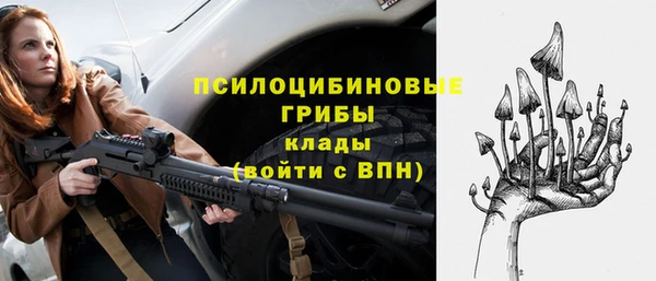 амф Новозыбков