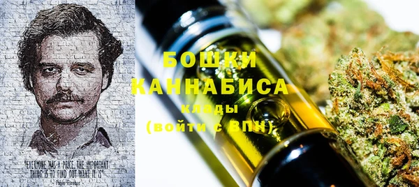 амф Новозыбков