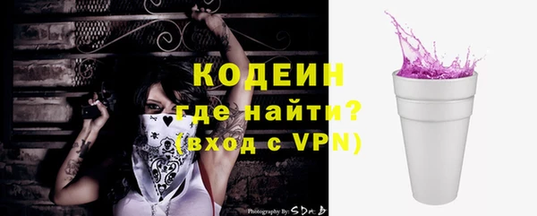 амф Новозыбков