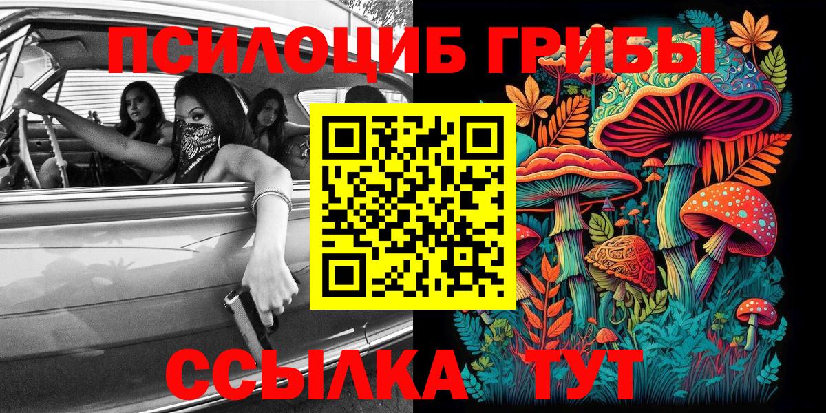 Псилоцибиновые грибы Psilocybe  Стерлитамак 