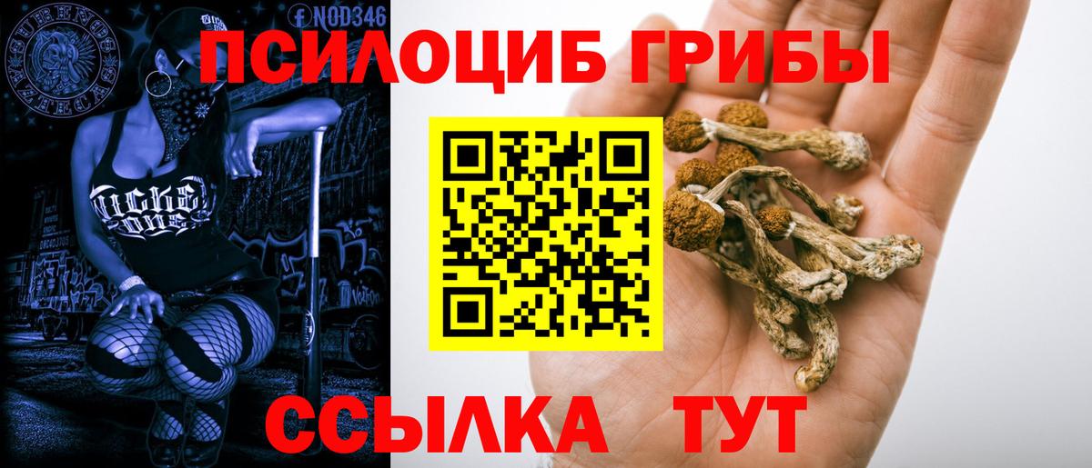 Псилоцибиновые грибы ЛСД Стерлитамак