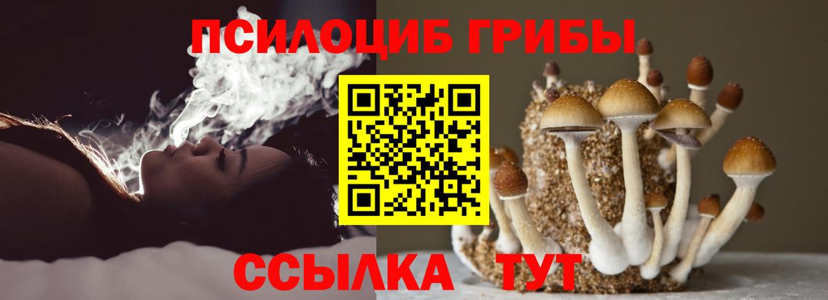 Стерлитамак  Галлюциногенные грибы прущие грибы  Вход с VPN 